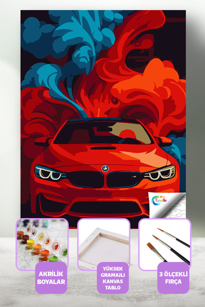 Tuvalle Hız ve Alev Sayılarla Boyama Seti, Hobi Seti, 40X50 Tablo, Fırça Boya...