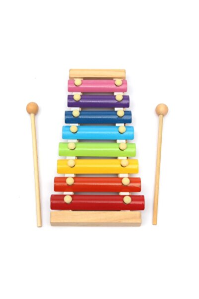 Picodino Xilofon de jucărie muzicală din lemn, multicolor, cu 8 note muzicale