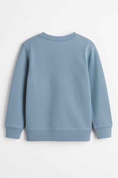 LUESS Erkek Çocuk Penguen Baskılı Mavi Kışlık Sweatshirt 0-5 Yaş