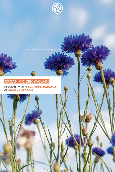 Yves Rocher Besleyici Katı Şampuan - Kuru Saçlar / Nutrition- SLS,SLES içermez,Tuzsuz, Vegan-60gr