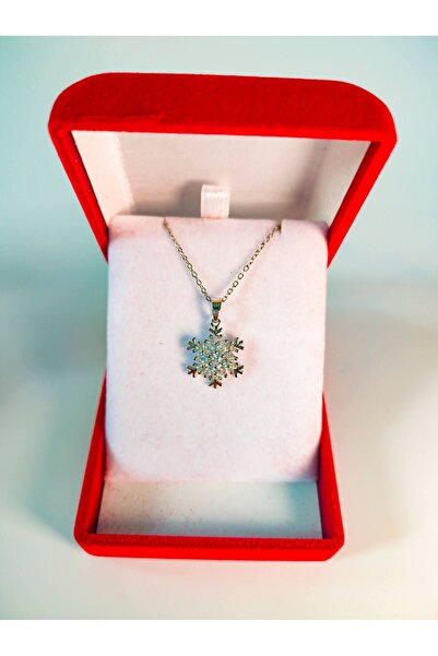 Luxury Velvet Box | Snowflake Necklace Silver | February 14 Valentine's Day Gift | Women