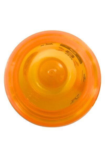 ZUZUNGA Cute Bear Printed Pirate Themed 400 ml Water Bottle / Flask