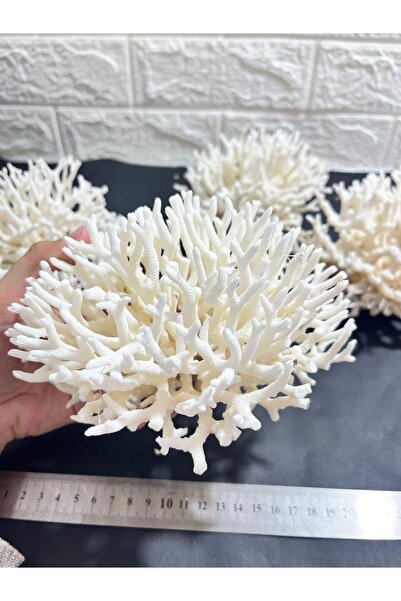 gemsartdeco İnce Dal Mercan Coral Cluster