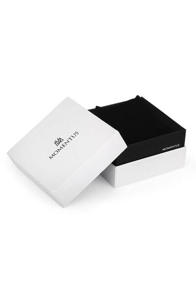 Momentus Cc102s-04ss men's watch