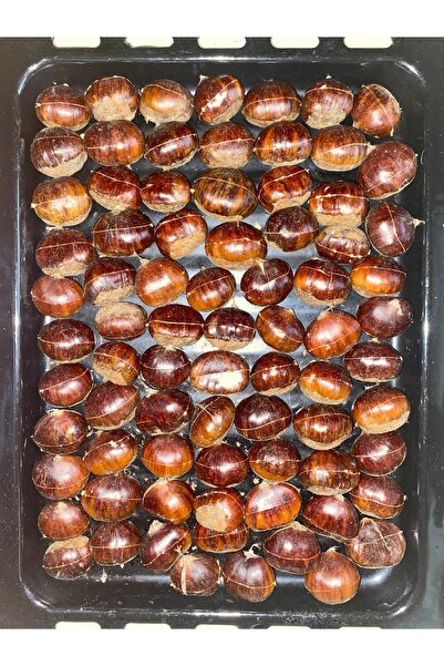 OrganikYemiş Aydın Şekerci 2025 Mahsül Duble Iri Boy Kestane (1 KG) Mykestane Satıcısından Almaya Özen Gösteriniz