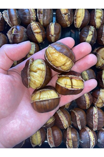 OrganikYemiş Aydın Şekerci 2025 Mahsül Duble Iri Boy Kestane (1 KG) Mykestane Satıcısından Almaya Özen Gösteriniz