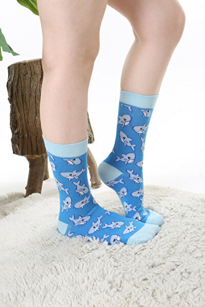 Socks Tunnel Colorful Blue Socks with Shark Pattern
