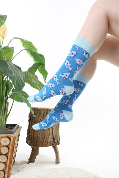 Socks Tunnel Colorful Blue Socks with Shark Pattern