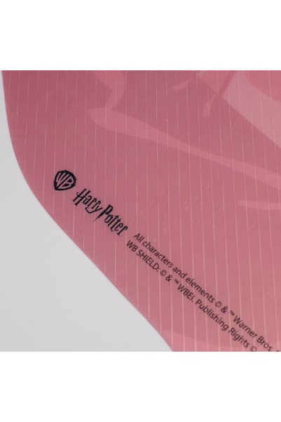 PopArms Harry Potter - Happe Birtdae Harry Licensed Placemat