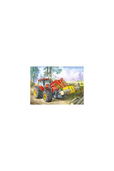 Castorland Puzzle - Forest Site, 60 Piese