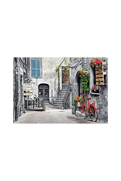 Castorland Παζλ - Γοητευτικό Στενόστενο με Κόκκινο Ποδήλατο, 500 κομμάτια