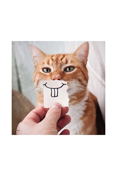 RAVENSBURGER Παζλ - Αστεία Πορτρέτα Ζώων, 3x49 τεμάχια