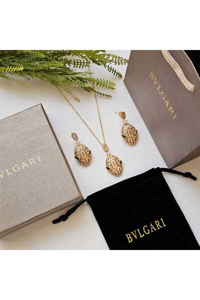 BV 2-piece necklace and earring set with accessories