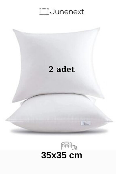 2 x 35x35 cm Throw Padded Throw Pillow