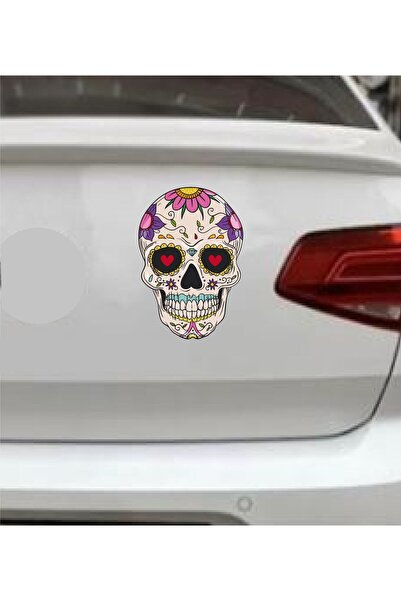 stickerusta Skull Dry Pattern Head Car Auto Motorcycle Sticker 00076