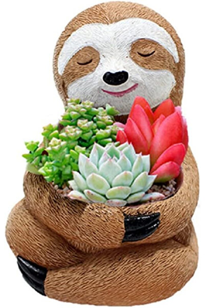 OEM Decorațiune de grădină 12 cm, ghiveci cu flori leneșe