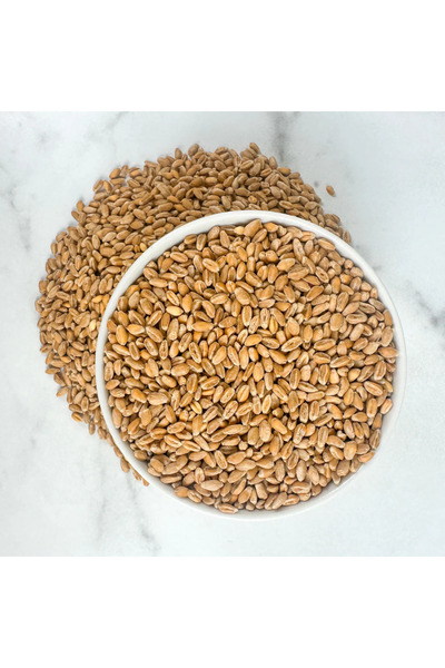 Aydınlı Tohumculuk Doğal, İlaçsız, Yemlik Buğday Tohumu, 250 gram (Tavuk, Güvercin, Hindi, Ördek vb.)