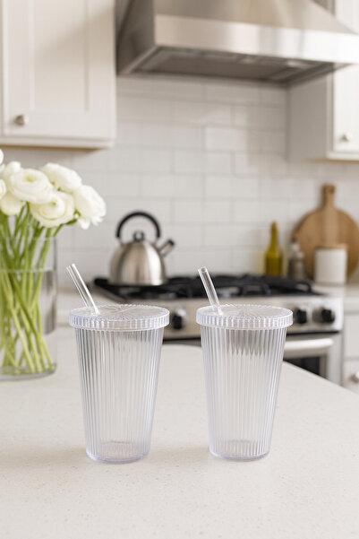 CEZVE HOME 2 Pieces 600 ml Mica Cups with Lid and Straw | Presentation Cup Soft Drink Cup