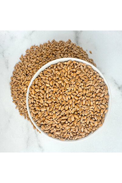 Aydınlı Tohumculuk Doğal, İlaçsız, Yemlik Buğday Tohumu, 500 gram (Tavuk, Güv...