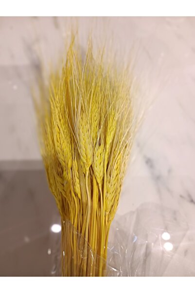 Store MercanMobilya Başak KuruÇiçek Demeti SARI