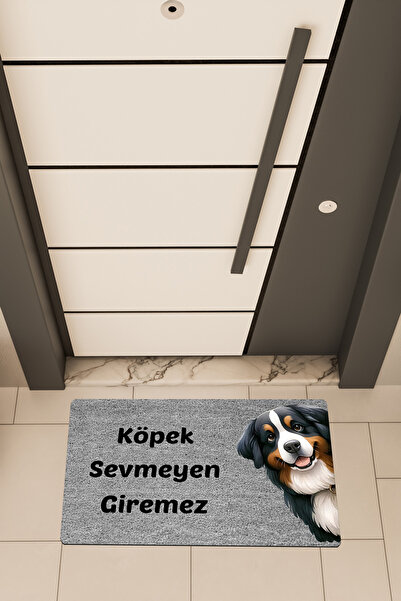 Dormot COPY - Covoraș de ușă cu imprimare digitală de înaltă calitate, cu tem...