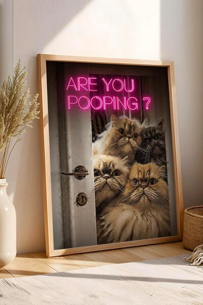 Saturn Are You Pooping Cats Framed Painting - Painting for Wc Toilet