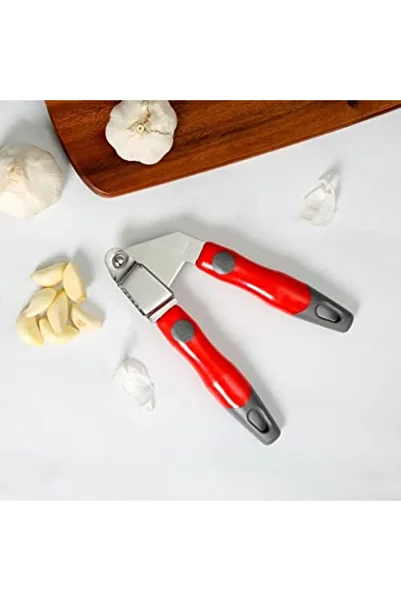 DELCASA Stainless Steel Garlic Press With PP Handle, DC1932 | Professional Grade | Easy Clean | Dish