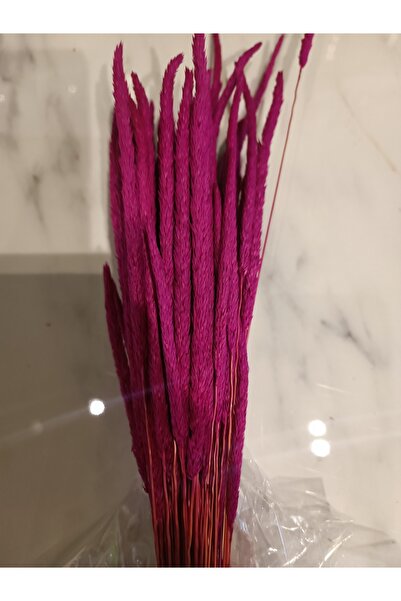 Store MercanMobilya Kuruçiçek