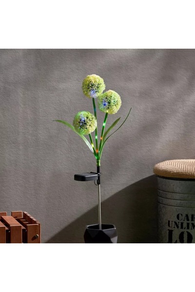 Home Box Lyn Solar LED Flower Stick - 9x70 cm