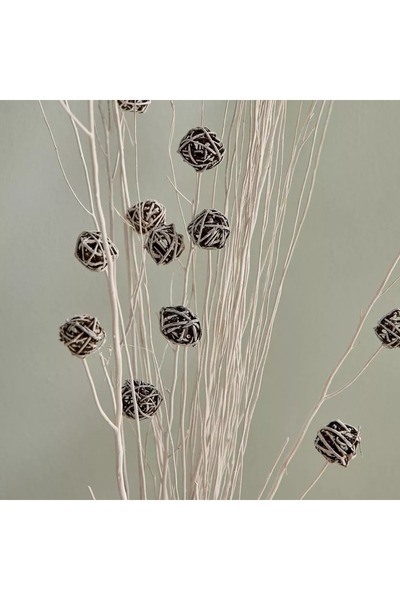 Home Box Seyna Dried Floral Bud Deco Sticks