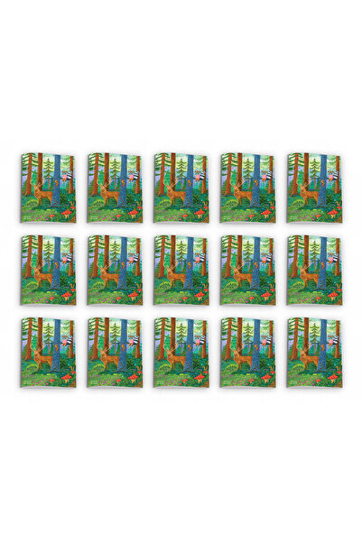 Katartis Pachet 15 caiete dictando, A5, 48 file