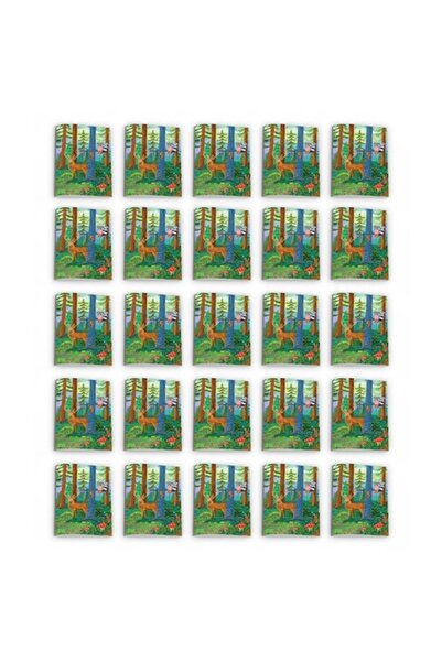 Katartis Pachet 25 caiete dictando, A5, 48 file