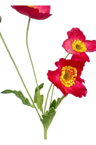 Nettenevime Yapay Çiçek Gelincik Çiçeği Pembe Koyu Renk 3 Çiçek 1 Tomurcuk 59Cm