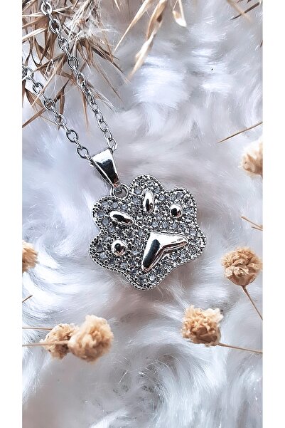 Serenity قلادة من الفولاذ بحجر الزركون مع شكل مخلب