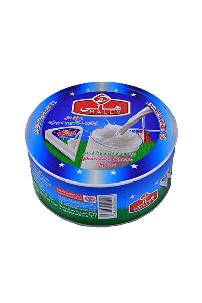 HALEY مثلثات جبن معالج قابلة للدهن، 24 قطعة، 360 غرام