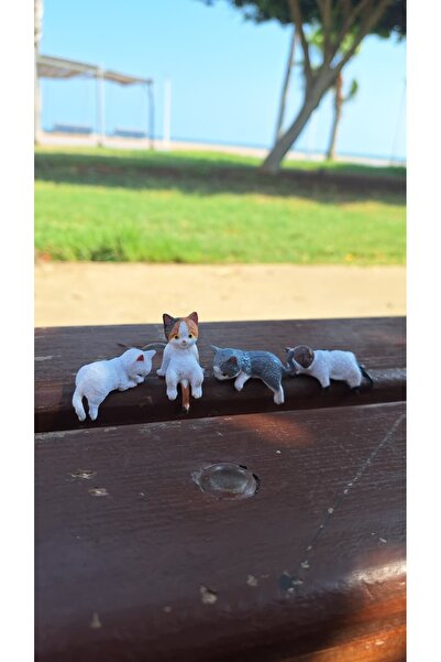 Bir Kırtasiye مجموعة من 4 قطع زينة للزينة على شكل قطة على سطح التوربيدو - ديك...