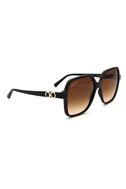 Salvatore Ferragamo Sf 1083S C208 Women Sun Glasses