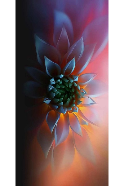 Atlas Husa Personalizata HUAWEI P Smart 2019 Flower