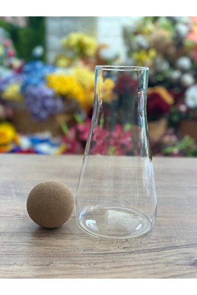 FARALYAHOME Pinterest Cam Sürahi Borosilikat Ahşap Top Kapaklı 900 Ml Sürahi Karaf