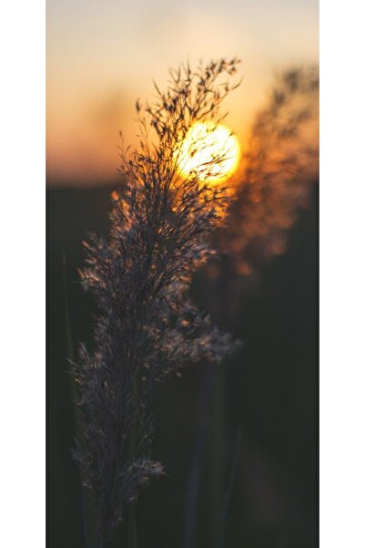 Atlas Husa Personalizata MOTOROLA One Vision Field