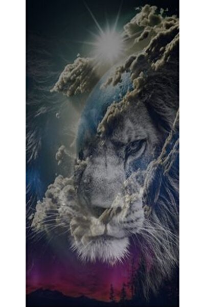 Atlas Husa Personalizata XIAOMI Redmi Note 8 Lions Planet