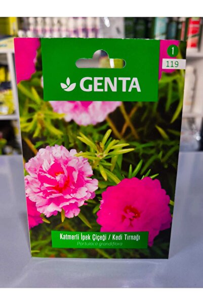 Genta Katmerli İpek Çiçeği