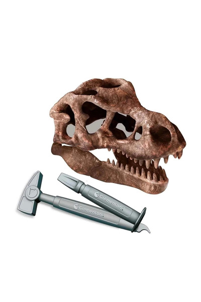 NEWBRENDHOME ألعاب تعليمية تفاعلية، مجموعة حفريات تي-ريكس العلمية والترفيهية،...