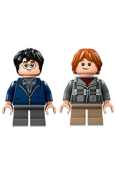 OMZ Girl's Toy Harry Potter Aragog in the Forbidden Forest 76434 Boy's Toy Educational Toys