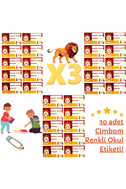 booddie Okul Etiketi Kalem Defter Etiketi Galatasaray Temalı İsim Yazılabilen...