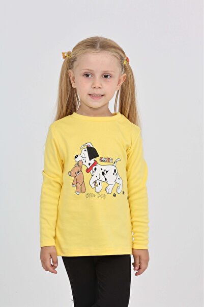 Toontoy Girl's Dog Bear Printed Sweatshirt