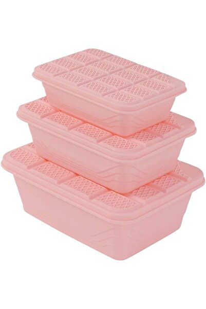 erorex Plastic Container Storage Box Set 3 Piece Pink Bpa Free Multi Size Food Storage Containers