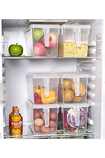 erorex Food Storage Boxes, Kitchen Storage Boxes Colored Lids, Fridge Storage, Fruit Storage 3 Pcs 5.8 L,