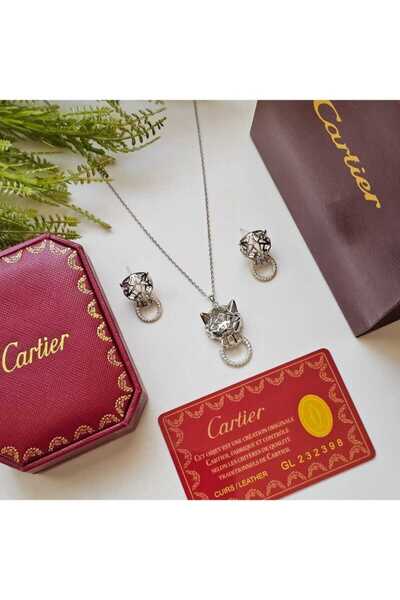 cr 2-piece necklace and earring set with accessories