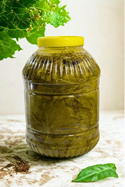 Katre Organik Salamura Yaprak 3 Kg
